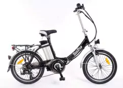RooDog Bliss Folding Electric Bike, 20" Wheel, 10Ah Battery - Black