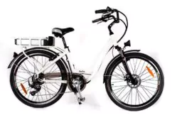 RooDog Chic White 36V 10Ah lithium-ion battery