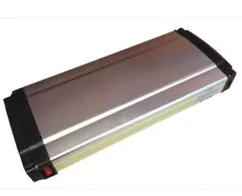 RooDog Tourer 36V 10Ah or 36v 15Ah lithium-ion battery
