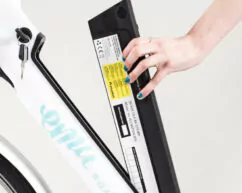 EMU E-Bike Replacement / Spare Battery 36V