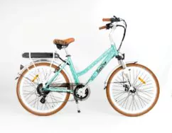 RooDog Polka Dot Step Through Hybrid Electric Bike - Mint Polka