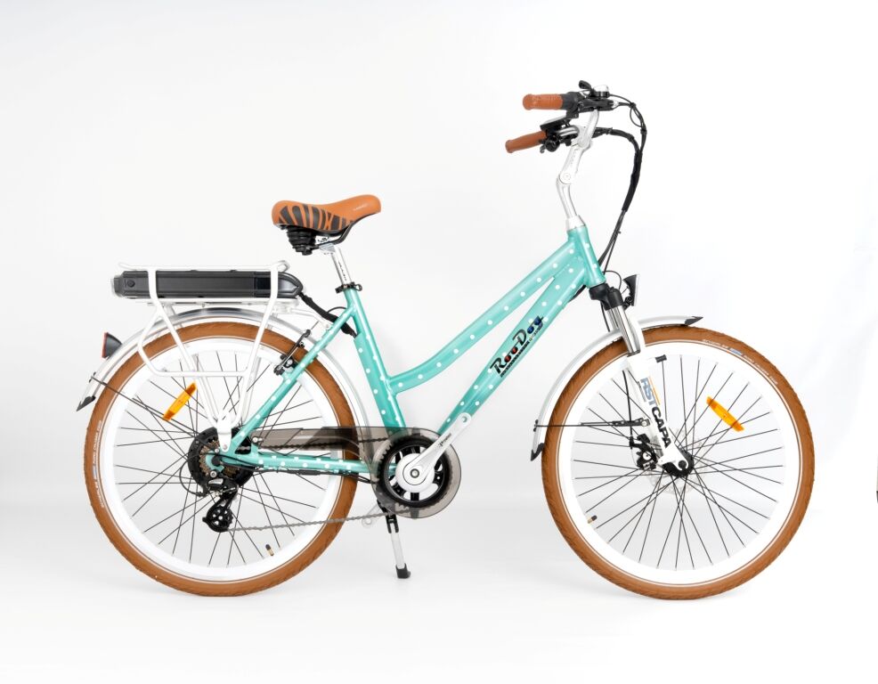 RooDog Polka Dot Step Through Hybrid Electric Bike - Mint Polka