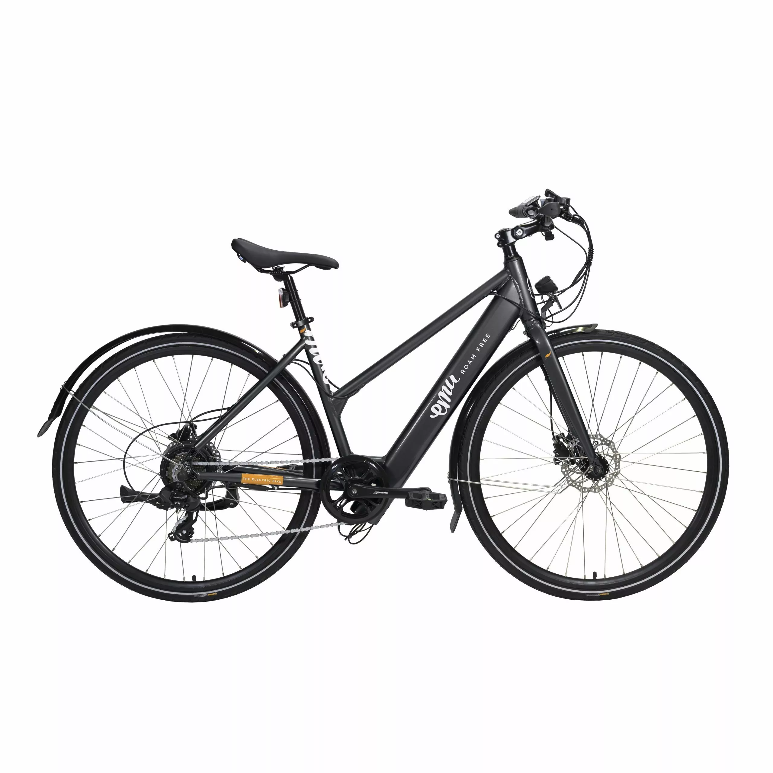 Electric Bike