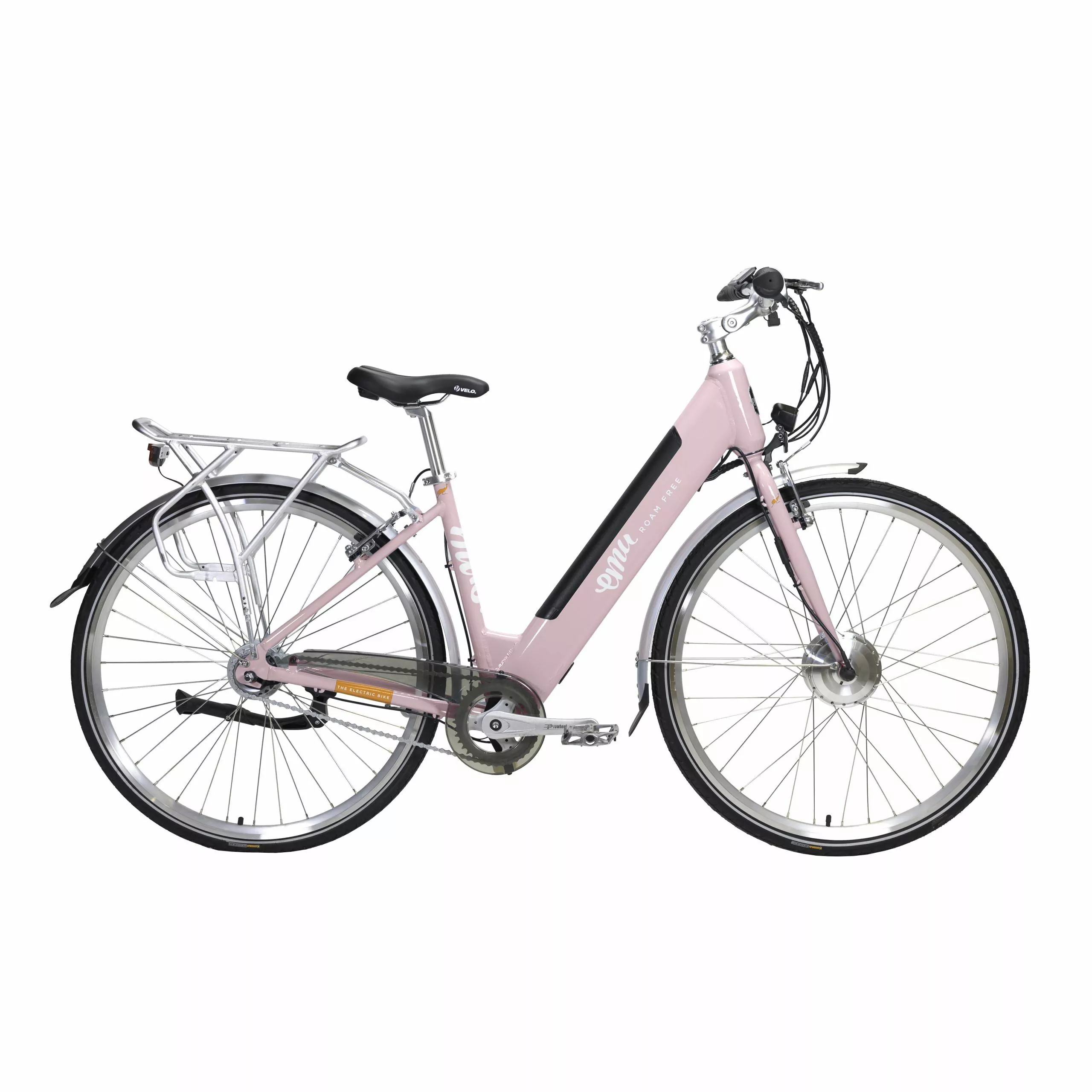 Electric Bike