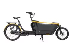Raleigh Stride 2 Family Cargo Electric Bike, Bosch 500Wh - Black/Yellow