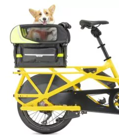 Tern Dog Roof Mini