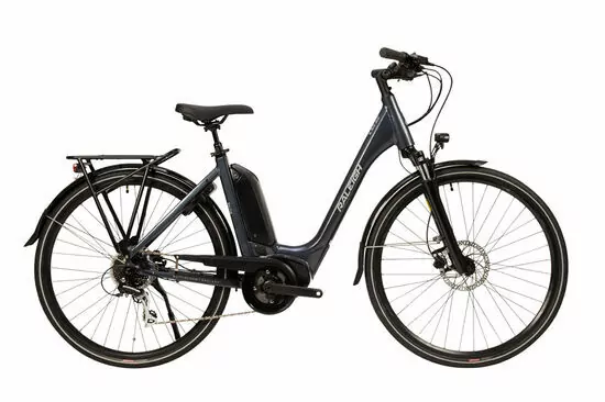 Raleigh Motus
