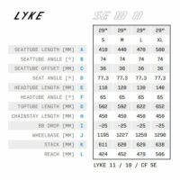 Haibike Lyke 2025 CF 10 Full Suspension Electric Mountain Bike - Black/Silver - Image 3