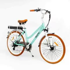 Ex Demo RooDog Polka Dot Step Through Hybrid Electric Bike, 11Ah - Mint Polka