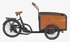 Aitour Electric Cargo Bike Family S - Black