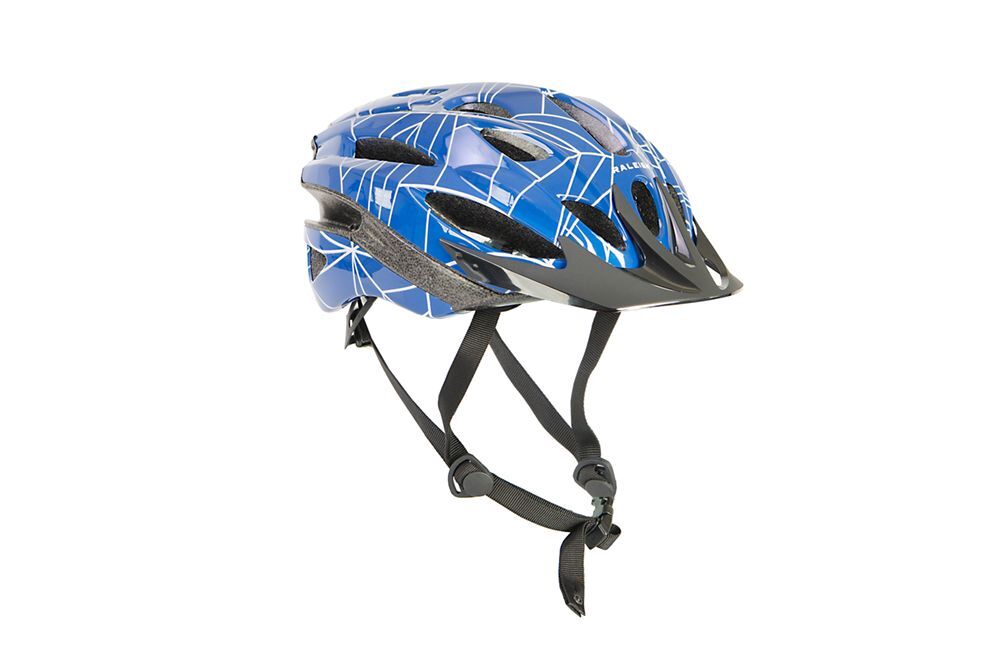 Raleigh Mission Pioneer Adults Helmet Navy
