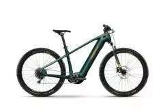 electric mountain bike