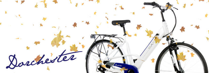 Basis Dorchester Integrated Electric Bike at E-Bikes Direct