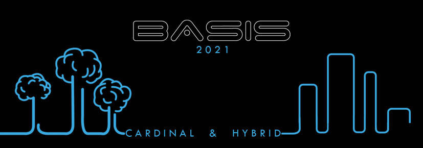 Basis Cardinal Rigid Electric Bike at E-Bikes Direct