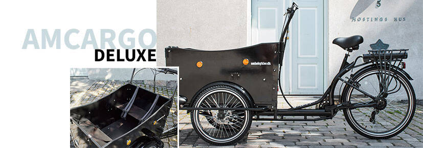 AMCargo eCargo Trike at E-Bikes Direct