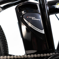 Folding Electric Bike