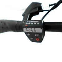 Folding Electric Bike
