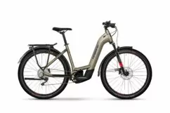 Hybrid Electric Bike