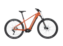 Electric Mountain Bike