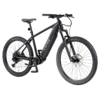 ELECTRIC MOUNTAIN BIKE