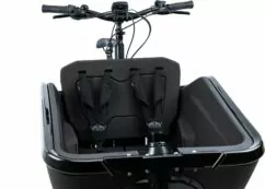 Cube Safety Belt Cargo