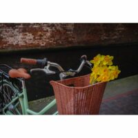 Dawes Elegance Unisex Step Through Electric Bicycle, 10.4Ah, 700c Wheel - Mint - Image 7