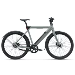 Raleigh One