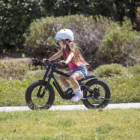 Stacyc Electric Balance Bike 16H-Drive, 5Ah - Black/Blue - Image 9
