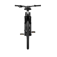 Tenways AGO-X Crossbar Hybrid Electric Bike - Black - Image 4