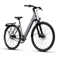 Tenways CGO 800s Step Through Hybrid Electric Bike - Grey - Image 2