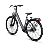 Tenways CGO 800s Step Through Hybrid Electric Bike - Grey - Image 3