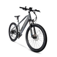 Ampere X-Trail Hardtail Electric Mountain Bike, 29" Wheel - Grey - Image 4