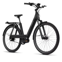 Tenways AGO-T Step Through Hybrid Electric Bike - Black - Image 2