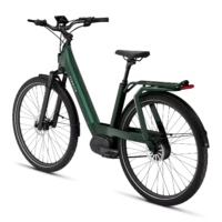 Tenways AGO-T Step Through Hybrid Electric Bike - Green - Image 3