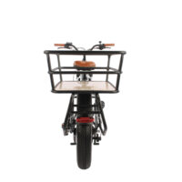 Basis Longtail Cargo Electric Bike, 7 Speed, 20in Wheel, 13Ah - Silver - Image 4