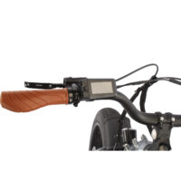 Basis Longtail Cargo Electric Bike, 7 Speed, 20in Wheel, 13Ah - Silver - Image 7