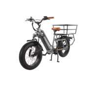 Basis Longtail Cargo Electric Bike, 7 Speed, 20in Wheel, 13Ah - Silver - Image 2