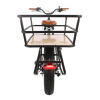 Basis Longtail Cargo Electric Bike, 7 Speed, 20in Wheel, 13Ah - Silver - Image 14