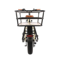 EMU Longtail Cargo Electric Bike, Bafang Powered, 7 Speed, 20in Wheel, 13Ah - Cream - Image 4