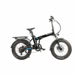 Basis Fat