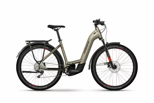 Hybrid Electric Bike
